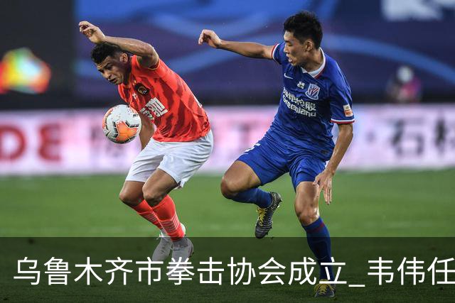 乌鲁木齐市拳击协会成立 韦伟任会长