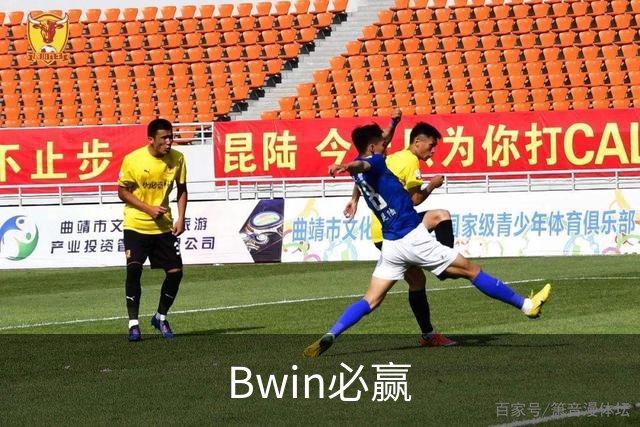 Bwin必赢公司简介